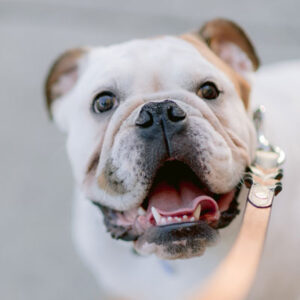 Évènement notre sélection